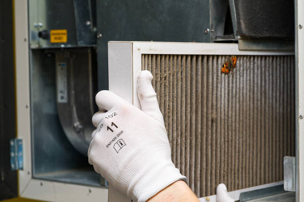 Best Residential Air Duct Cleaning  in Darlington, WI