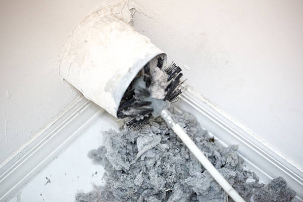 Best HVAC Duct Inspection Services  in Darlington, WI